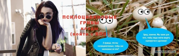 Альфа ПВП Покачи
