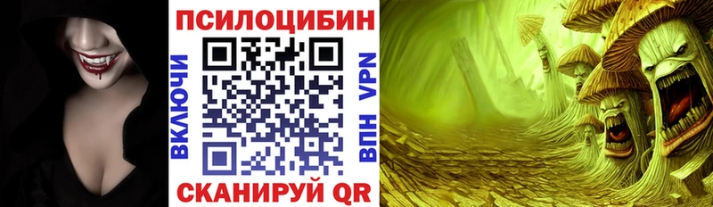Псилоцибиновые грибы GOLDEN TEACHER  купить наркотики цена  Петухово 